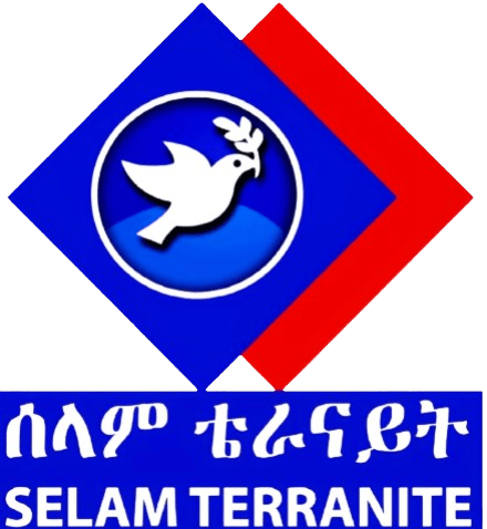 Selam Terranite & Terrazzo Logo